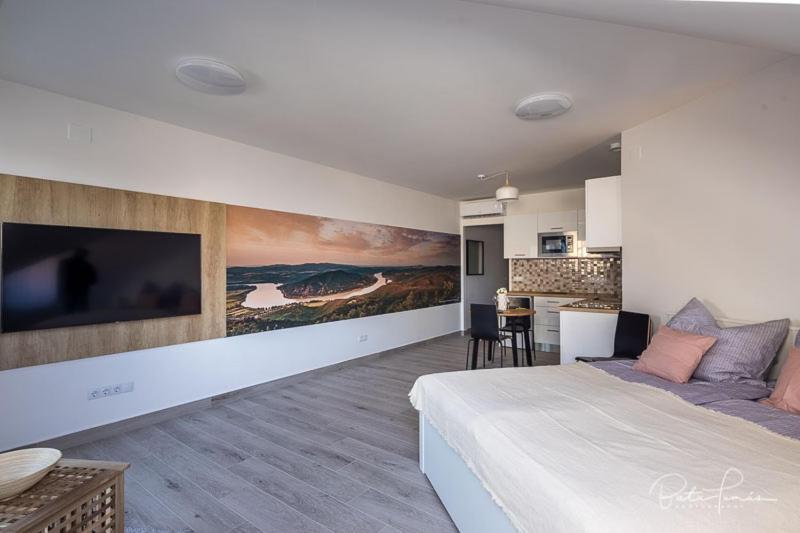 Stafetahaz Apartmanok 瓦茨 外观 照片